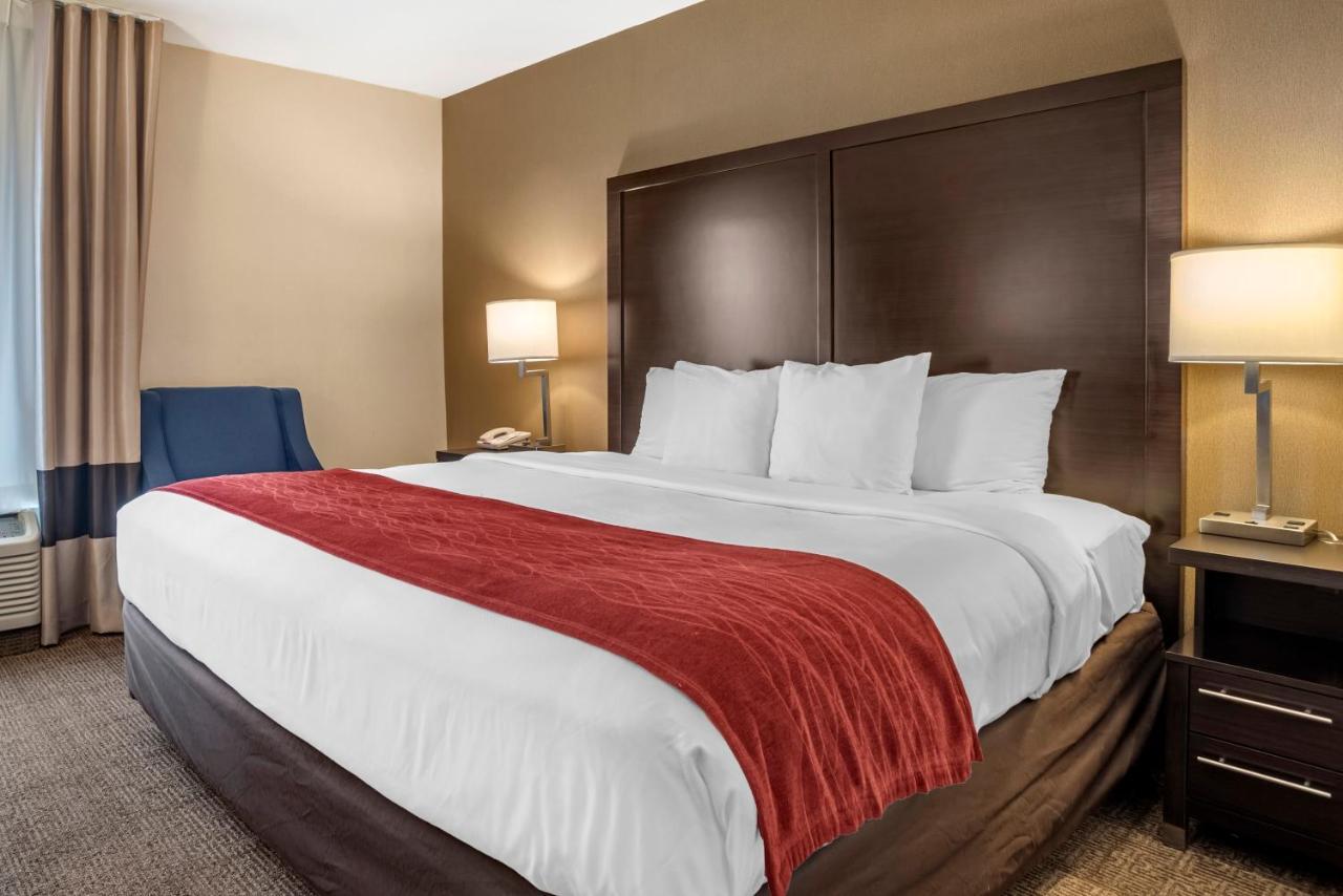 Comfort Inn Towson Eksteriør bilde